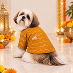 JASHN MUSTARD YELLOW AND GOLD DOG SHERWANI