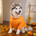 KESARIYA DOG KURTA
