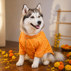 KESARIYA DOG KURTA
