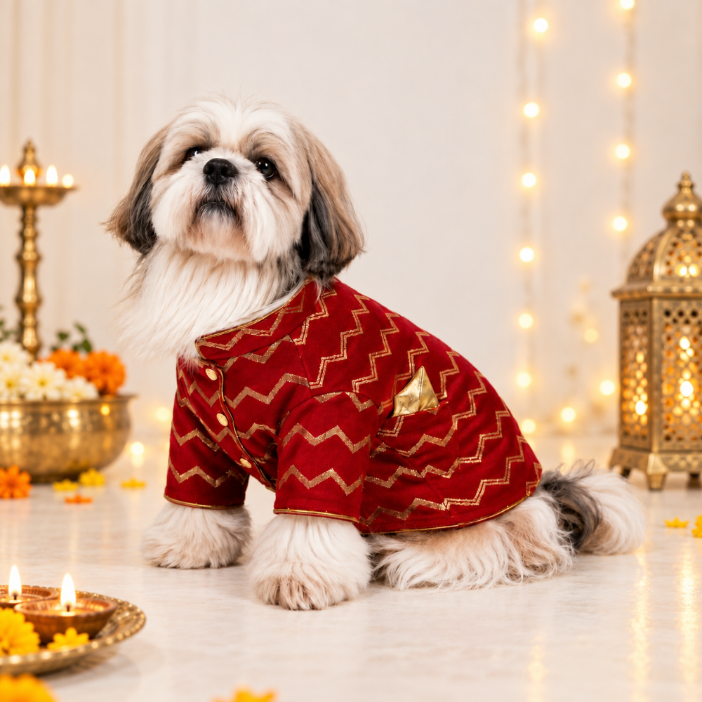 JASHN RED AND GOLD DOG SHERWANI