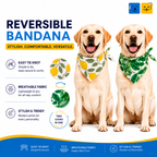 Limon & Rainforest Reversible Tie Knot Bandana