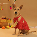 FURWALI FESTIVE DOG KURTA WITH DUPATTA- ROYAL RED
