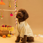 FURWALI FESTIVE DOG KURTA WITH DUPATTA- IVORY WHITE