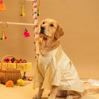 FURWALI FESTIVE DOG KURTA WITH DUPATTA- IVORY WHITE